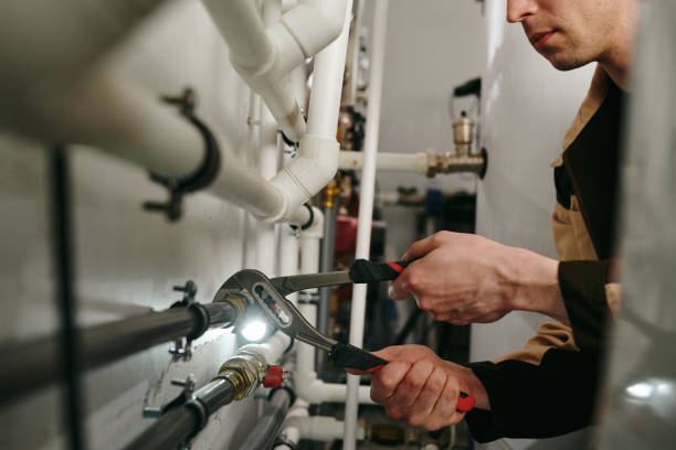 Best Emergency Plumbing Repair  in Braidwood, IL