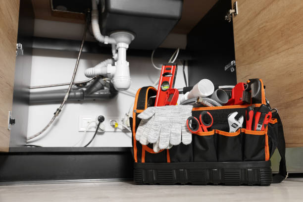 Best Shower Repair Services  in Braidwood, IL