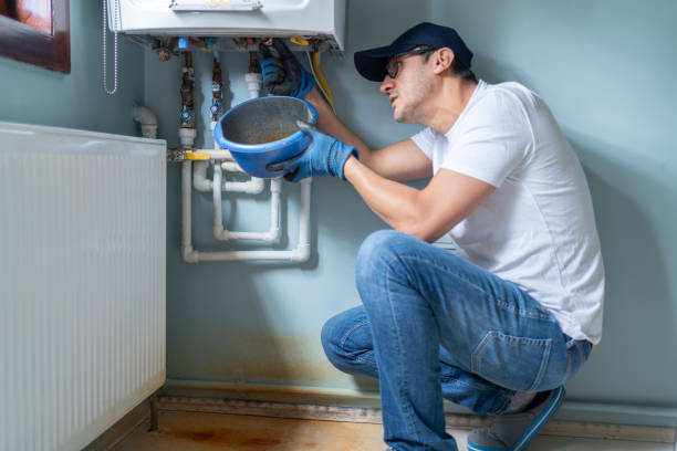 Best Drain Cleaning Services  in Braidwood, IL